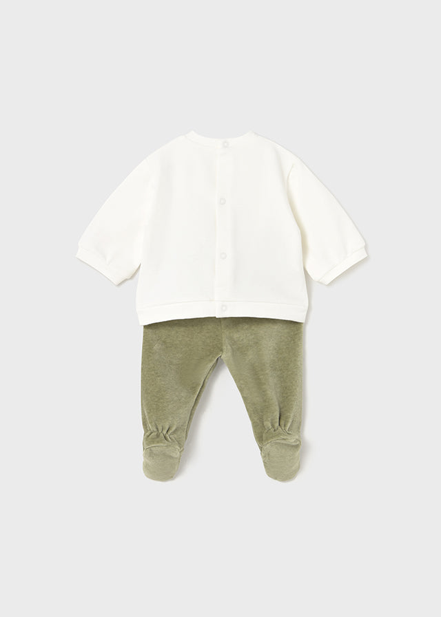 Conjunto de polaina