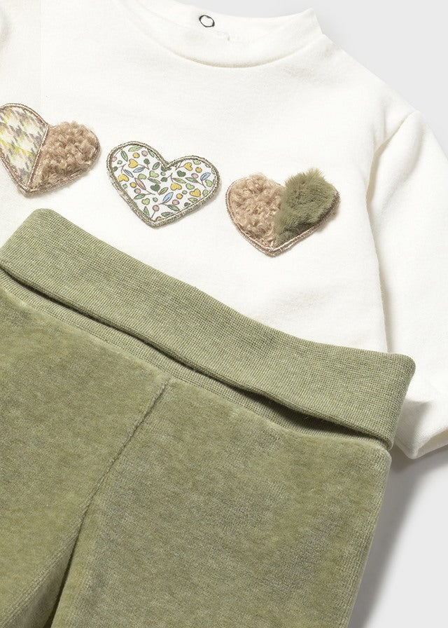 Conjunto de polaina