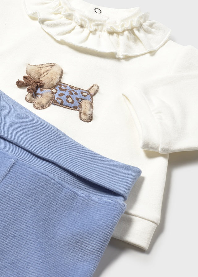 Conjunto de polaina