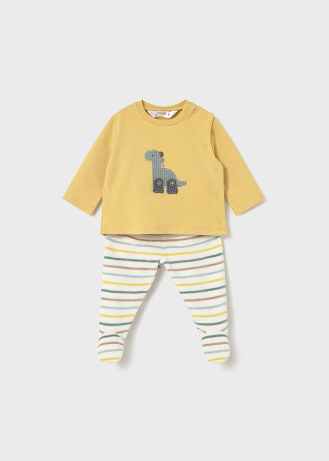 Conjunto polaina