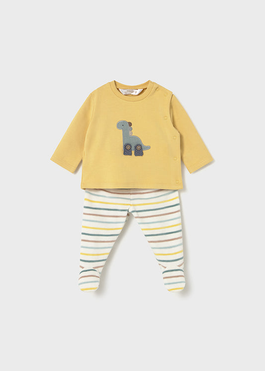 Conjunto polaina