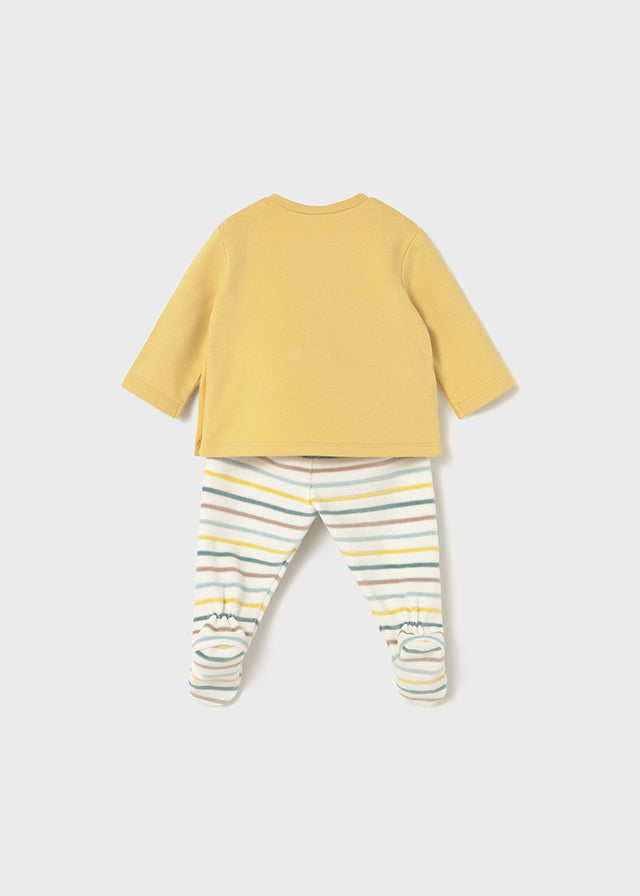 Conjunto polaina