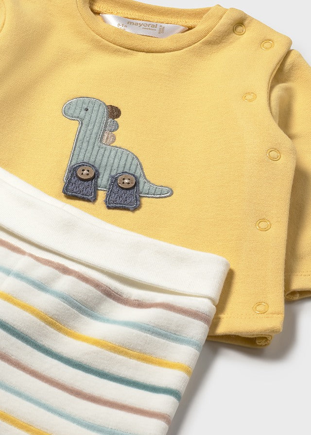 Conjunto polaina