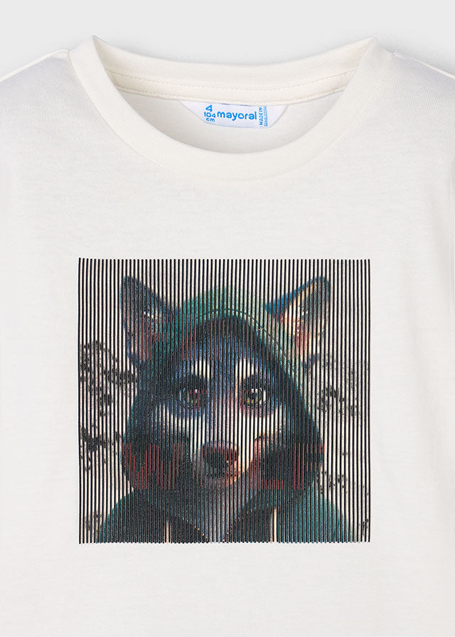 Camiseta