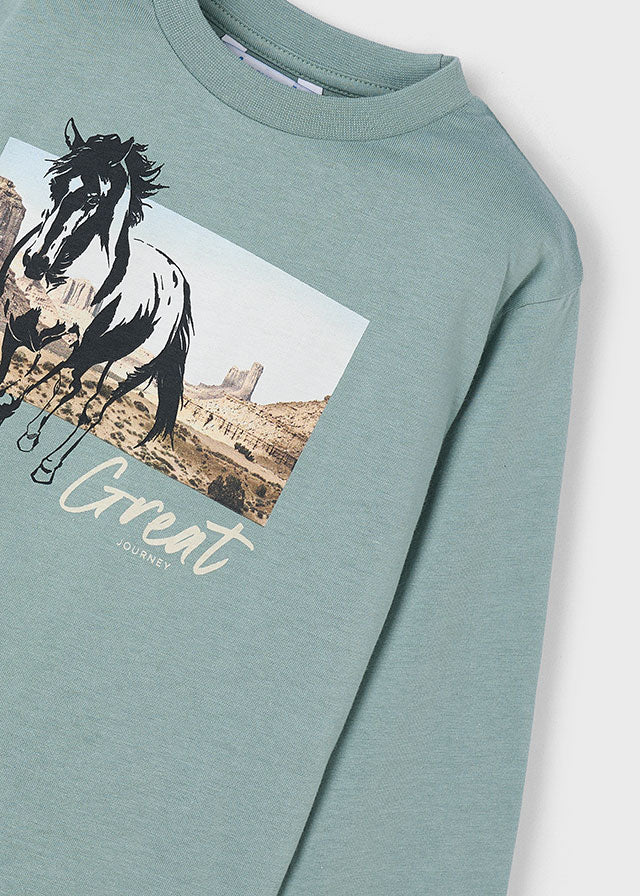 Camiseta