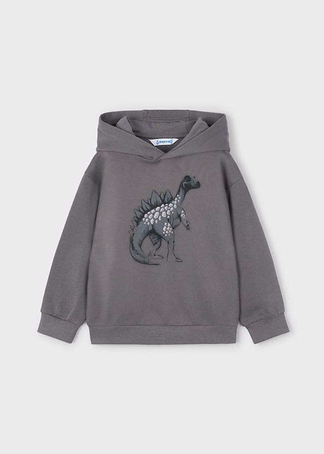 Sudadera con capucha