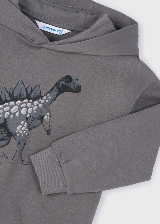 Sudadera con capucha