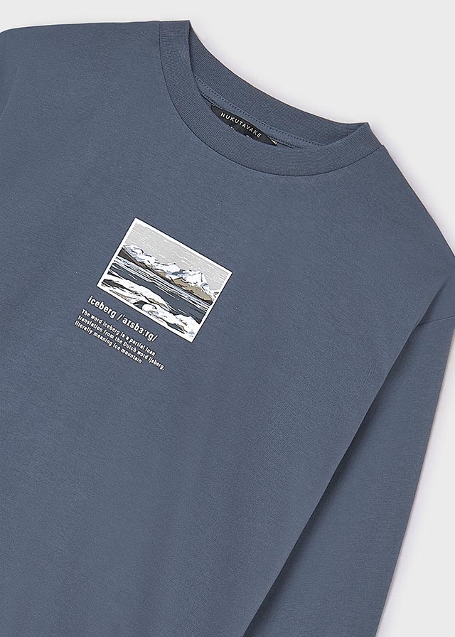 Camiseta