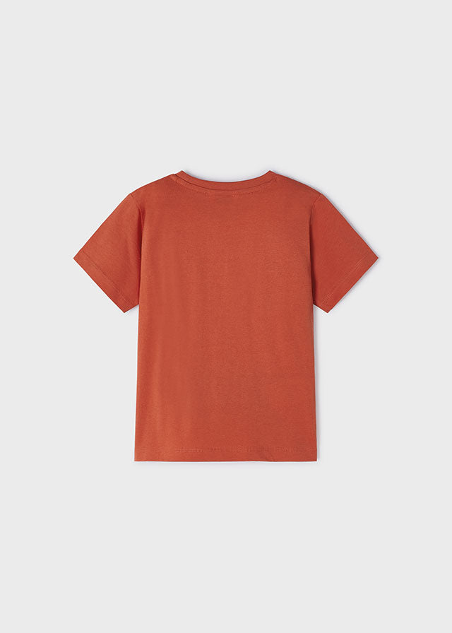 Camiseta
