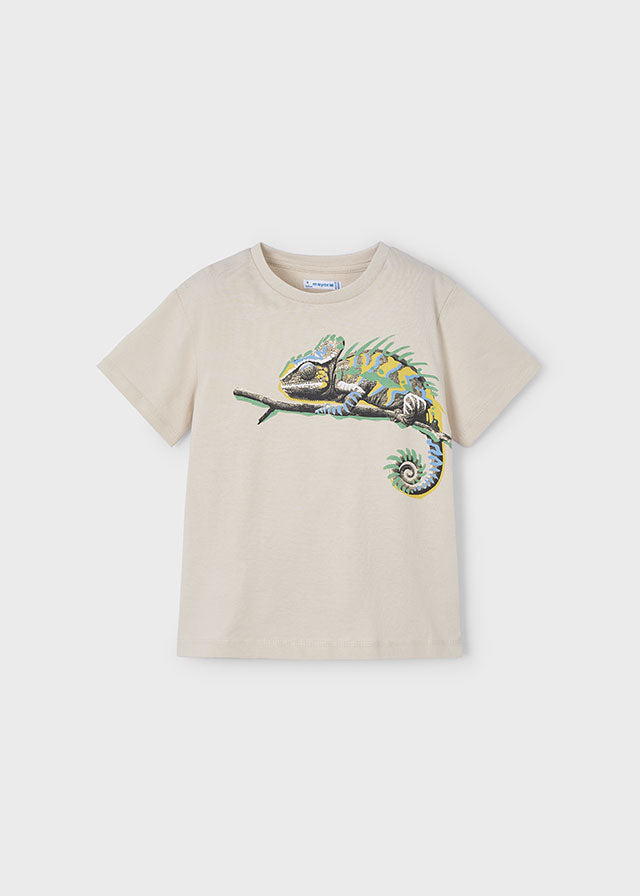Camiseta camaleón