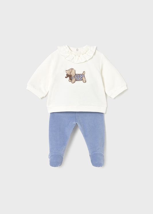 Conjunto de polaina