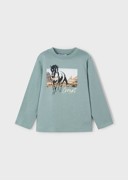 Camiseta