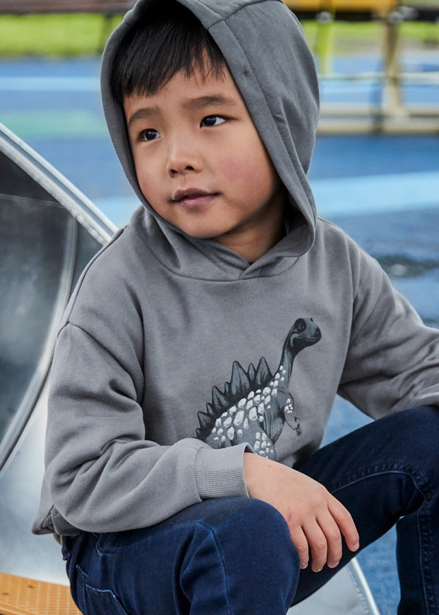 Sudadera con capucha